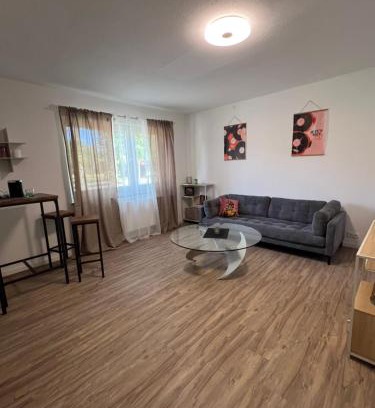 Stellichte Apartamento | Ferienwohnungen Stellichte