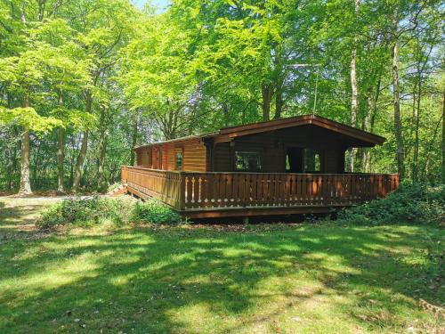 Kenwick Apartamento | Fern Lodge