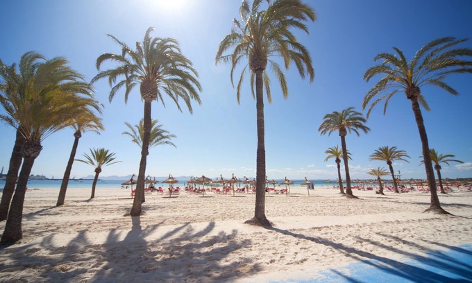 Alcudia Apartamento | Ferrer Lime Tamarindos