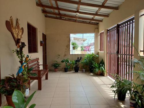 Parintins Casa | Festival de Parintins
