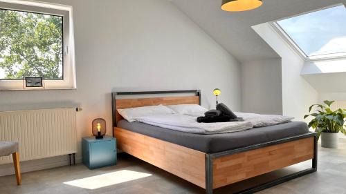 Waldbrol Apartamento | FeWo Naturerlebnispark