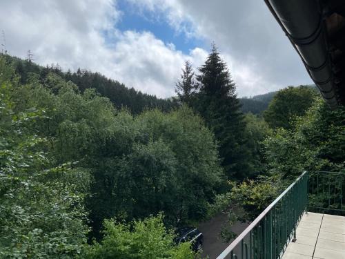 Ortsmitte Apartamento | FeWo Wald Idyllika