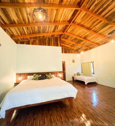 Pital Apartamento | Ficus house