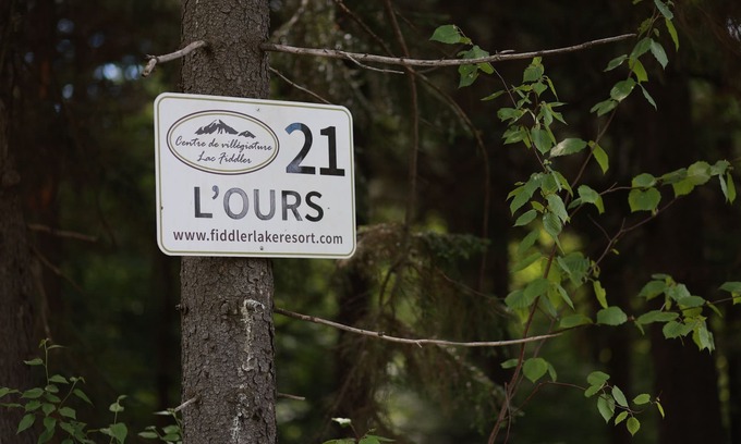 Mille-Isles Chalet De Esquí | Fiddler Lake Resort Cabin 21 Bear