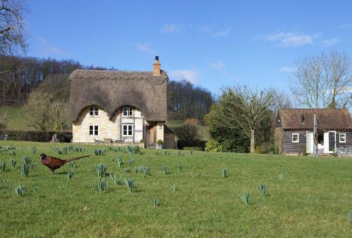 Pershore Casa | Field Cottage