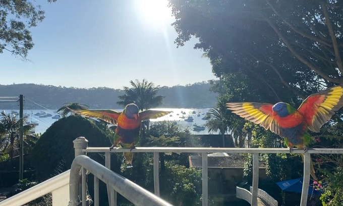 Avalon Beach Cabaña | Fifties Beach Cottage