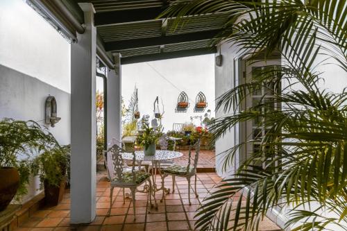 Brooklyn Apartamento | Fig Tree