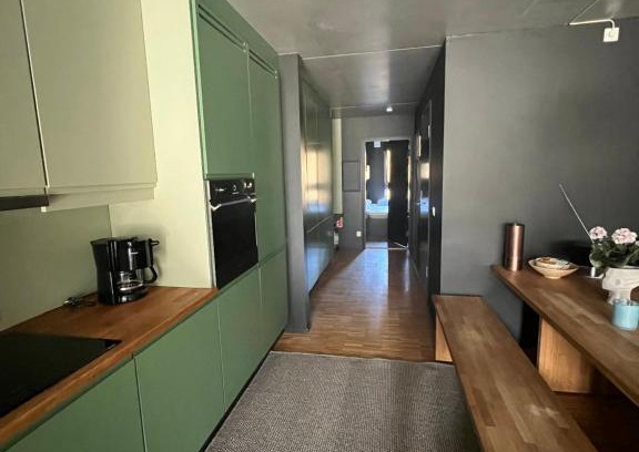 Skeikampen Apartamento | Fin leilighet ca 30 min med bil til Hunderfossen