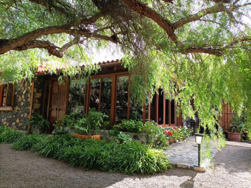 Tajuya Casa | Finca Alda