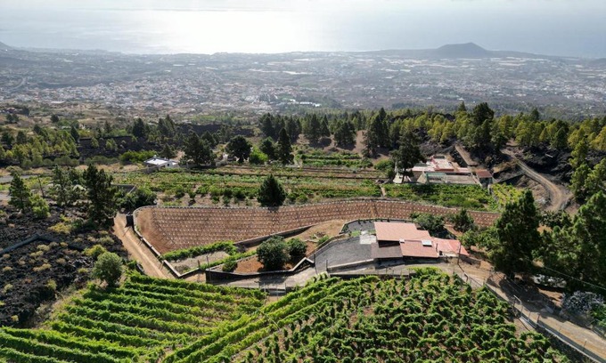 Arafo Chalet De Esquí | Finca Ecológica Ferrera. Alojamiento Rural.
