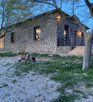 La Solana Casa | FINCA EL CERRO