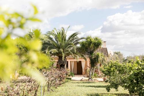 Son Antem Casa | Finca Flora Cas Nets