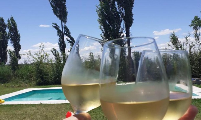 Cuadro Nacional Casa | Finca La Malvina
