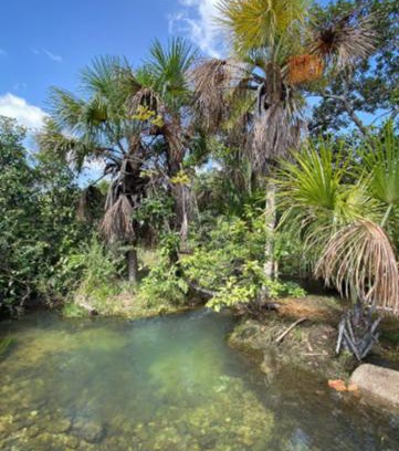 Acacias Chalet De Esquí | Finca La MARSELLA