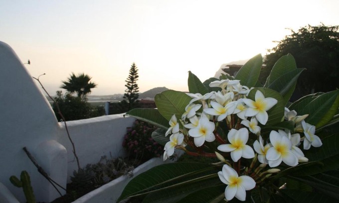 Los Silos Casa | Finca-Las Mariposas 2