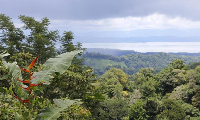 Puerto Jiménez Hotel | Finca Sueno de Osa