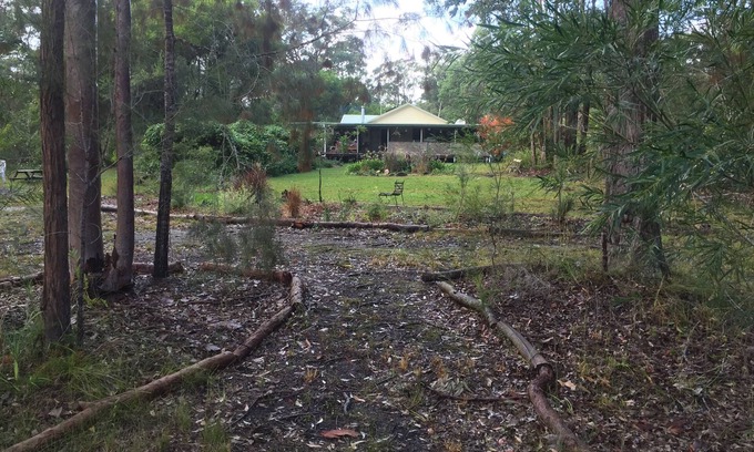 Boolambayte Otro | Fingal Farm, mascotas, Bulahdelah, Myall Lakes, playa