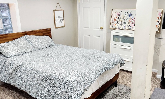 Oak Park Casa | Finished Basement in Historic Oak Park with 2 cats