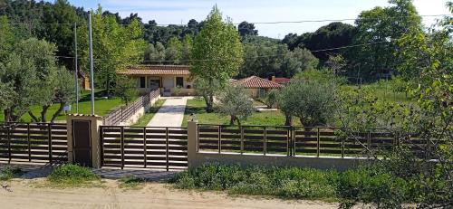 Nikita Casa | Fish eye
