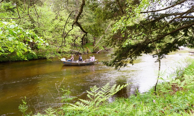 Branch Cabina | Cannon River Ranch Cabin 2: 3 BR Cabin- Fish, Kayak, Canoe the PM! (Duerme 8)