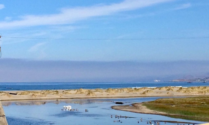 Salmon Creek Cabina | Fishermans Cottage-Irish Fishing Cottage in Bodega Bay! Magical!Walk to Beach