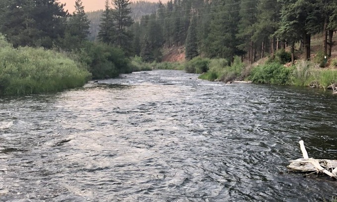 Lake George Cabina | “Fisherman’s Paradise – Cozy Log Cabin Near Gold Medal River, Forest Views”