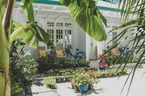 Feydhoo Casa | Fiyala Homestay