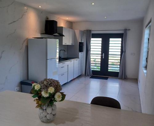 Grote Berg Apartamento | Flamingo Apartment - Regal Rentals Curacao