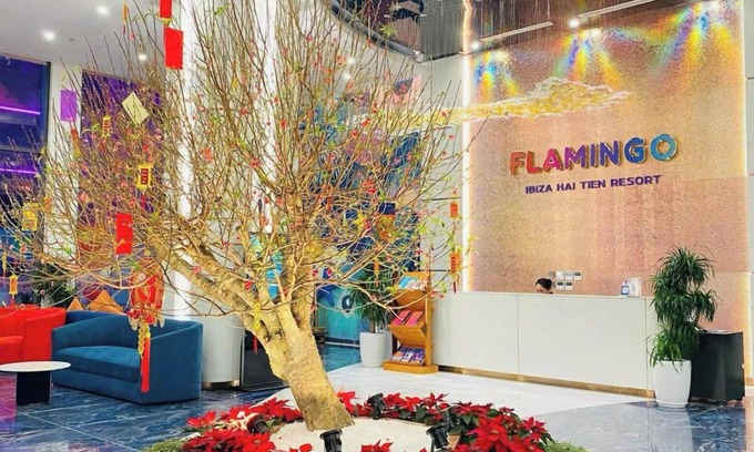 Hoang Hoa Apartamento | Flamingo Bau Abtel