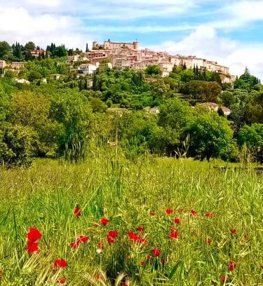 Callian Apartamento | Flat and Terrace in Callian