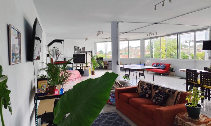 Xalapa Apartamento | Flat Apartment in Downtown Xalapa Veracruz