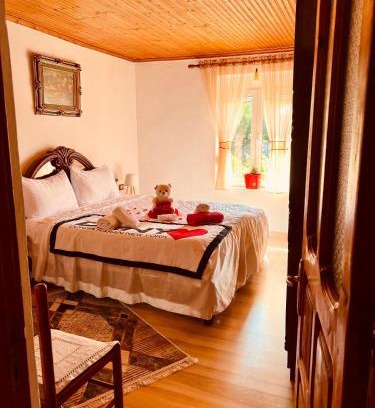 Leskovik Apartamento | Flat in Leskovik