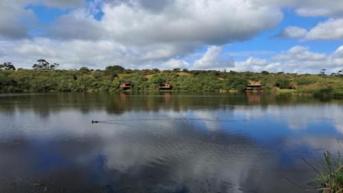 Heidelberg Casa | Fleckvieh Guest Farm
