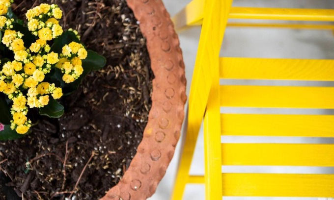 Trimiklini Casa | Floropounta