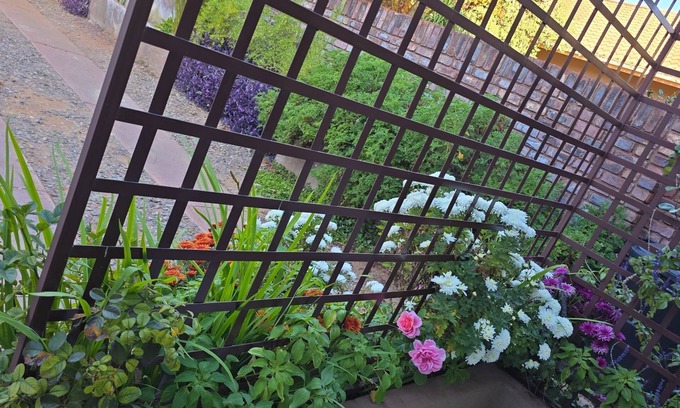 Kathu Casa | Flower Lane Guesthouse