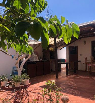 Larache Casa | Fluture