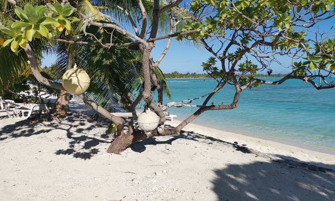 Anaa Casa | Flyfishing Anaa Toku Kaiga
