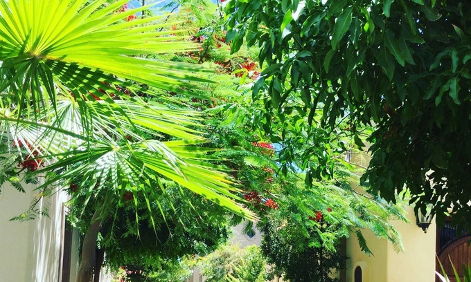 Nopolo Villa | FN246- Villa privada de 3 dormitorios