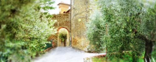 Oliveto Cama Y Desayuno | Fondaco del Moro