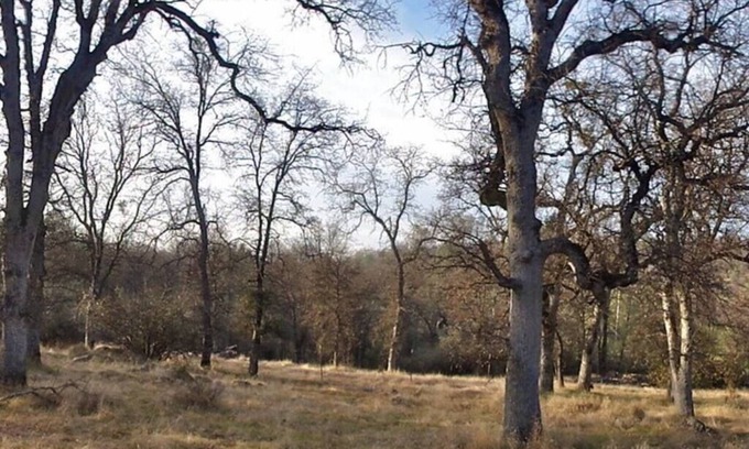 Midpines Casa | Foothill Acres - Family Cabin near Yosemite