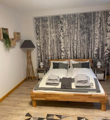 Menzenschwand-Hinterdorf Casa | Forest Apartment-Forest Escape Menzenschwand