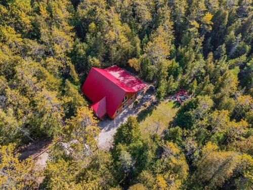 Tobermory Casa | Forest Cabin By National Park & Tobermory