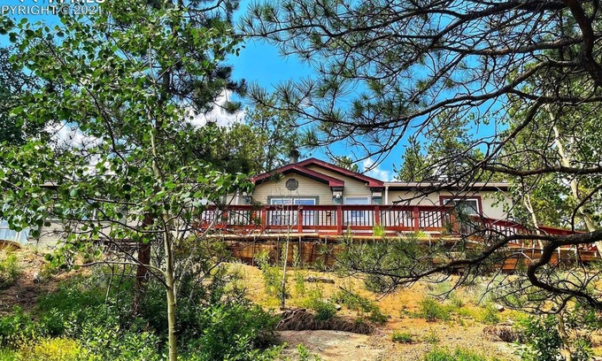 Divide Cabina | Forest cabin on 4 acres, Newly renovated, Quiet and secluded.