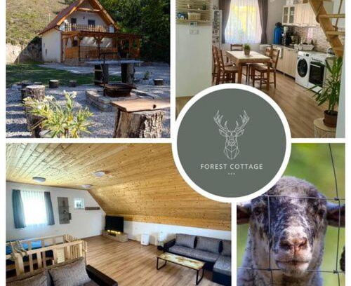 Labatlan Casa | Forest Cottage 2024
