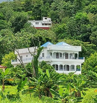 Port Antonio Apartamento | Forest Cottage