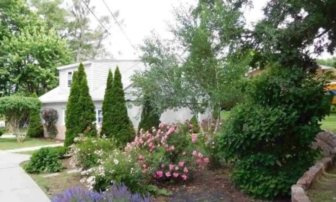 Bellevue Casa | Forest Cottage Peaceful Acreage