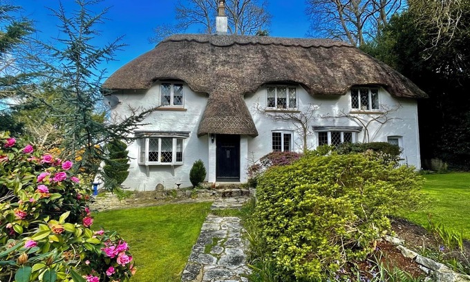 New Forest District Cabaña | Forest Drove Cottage New Forest Thatched Cottage