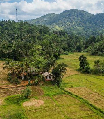 Kotapola Casa | Forest & Fields Sinharaja