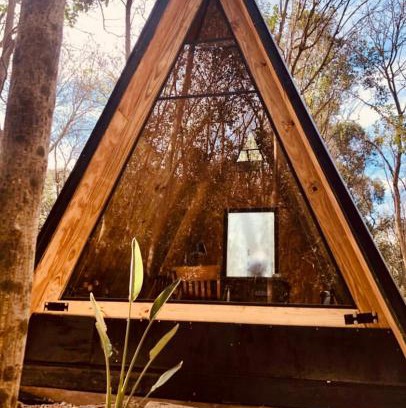 Gowland Otro | Forest Glam