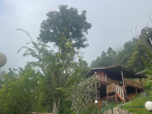 Samoeng Complejo | Forest Guesthouse